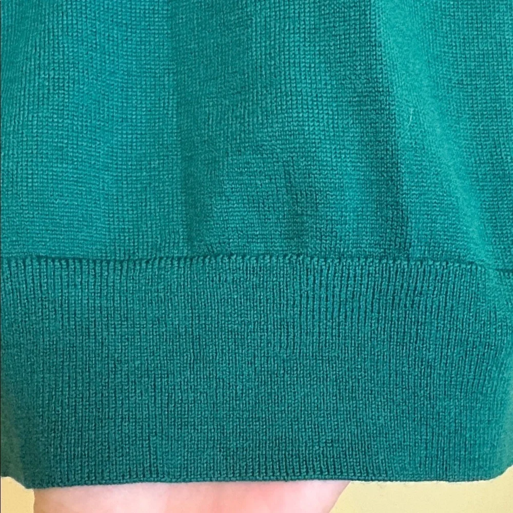 Banana Republic | Green Unisex Merino Wool V-Neck Knit Long Sleeve Sweater M